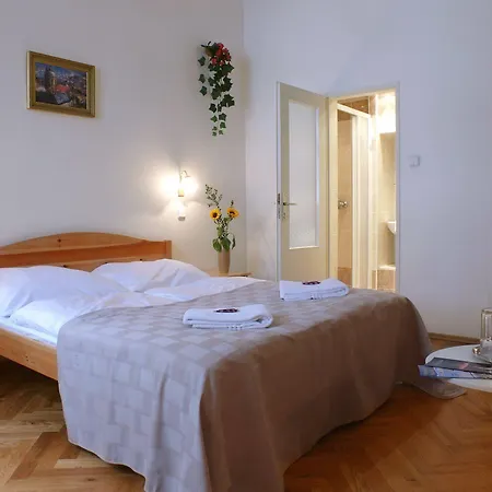 Отель Pension Prague City 3*